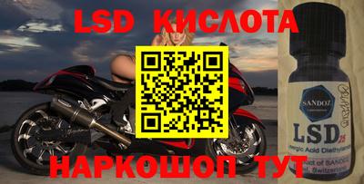 спайс Гагарин
