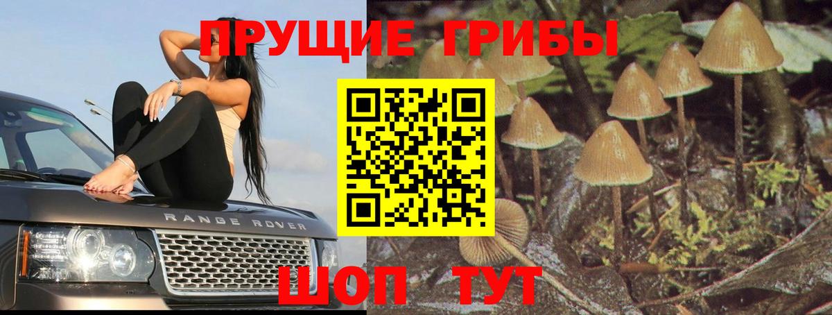 Галлюциногенные грибы GOLDEN TEACHER Мыски